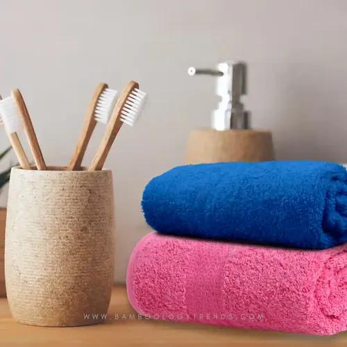 Bamboo Hand Towel Pack Of 2 - Pink & Blue