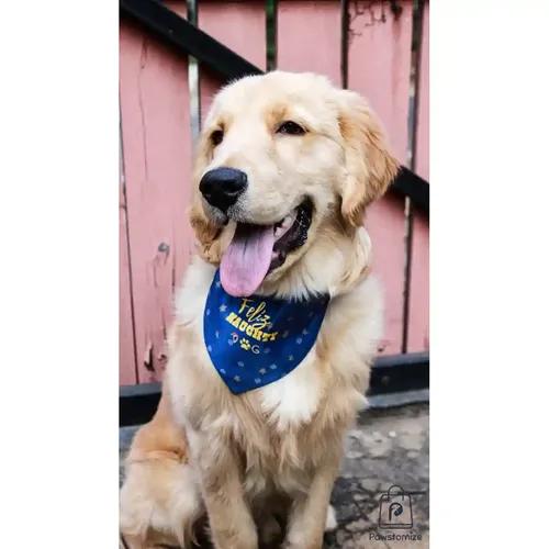 Feliz Naughty Dog Bandana