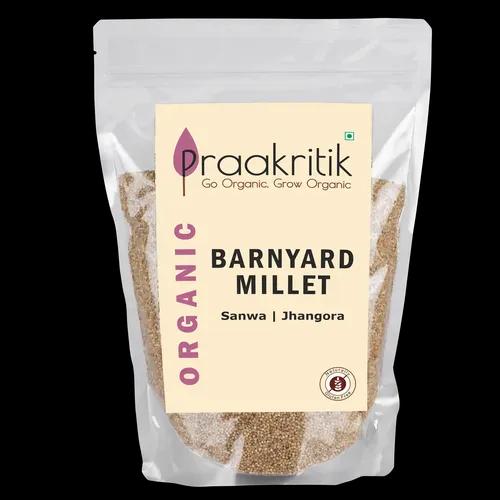 Praakritik Organic Farms Barnyard Millet (Sanva) 500g